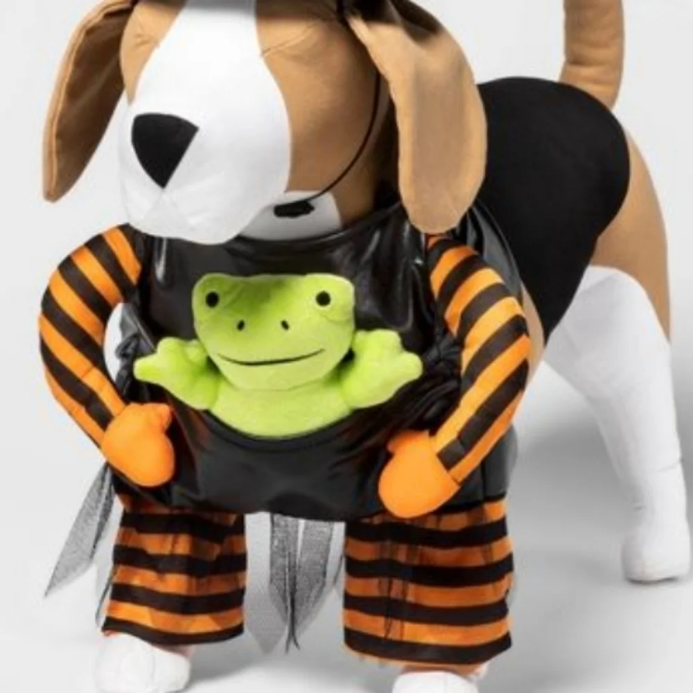 Hyde & EEK! Boutique™ Witch with Toy Frog Costume - Size M